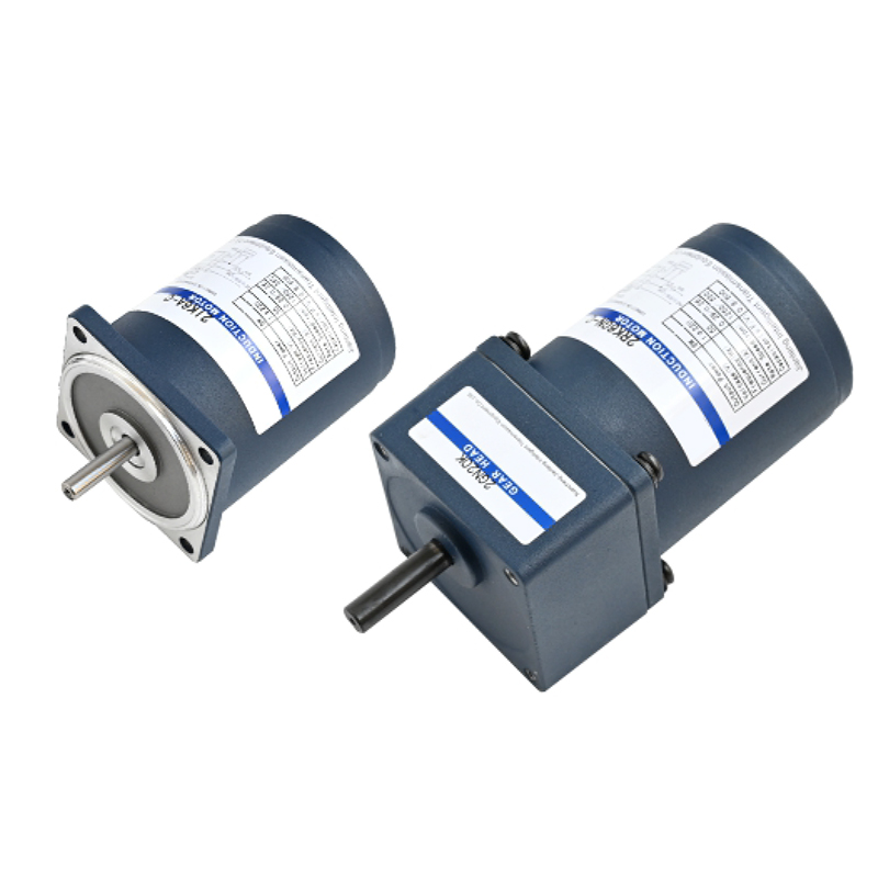 Induction and damping motor（6w、10w）