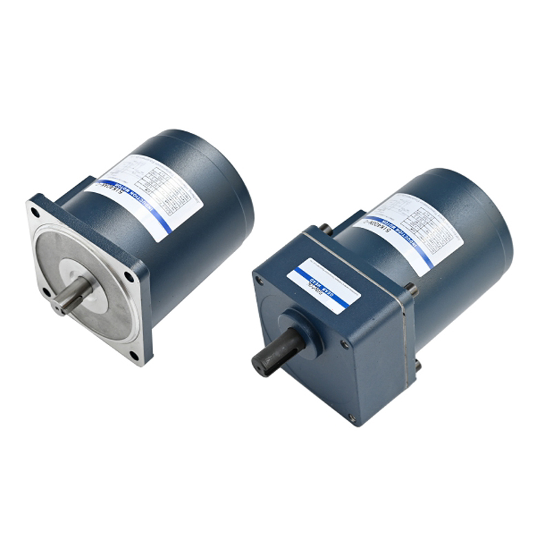 Induction and damping motor (40w)