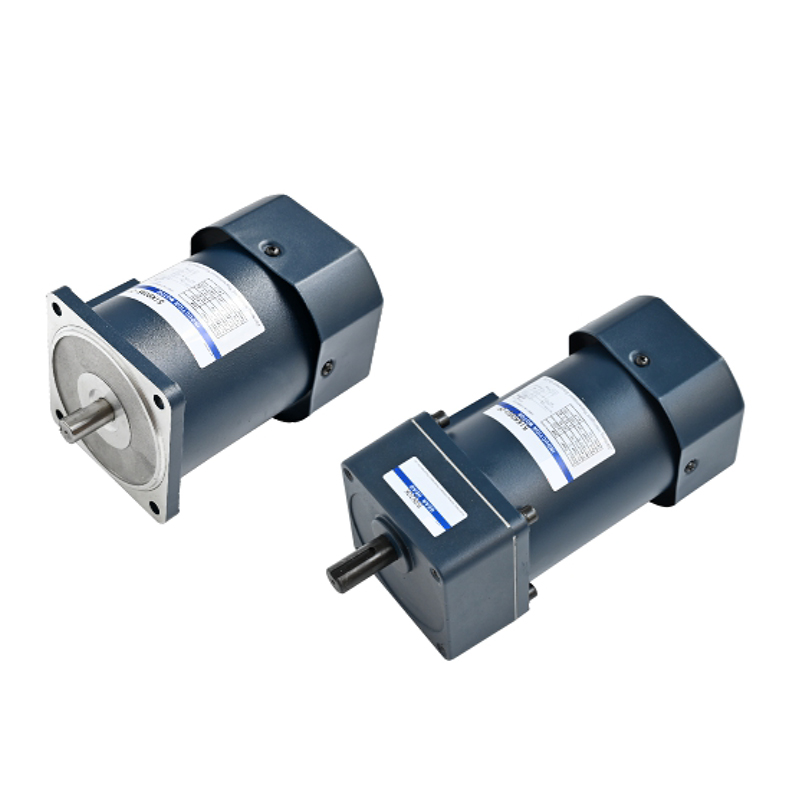 Induction and damping motor (60w)