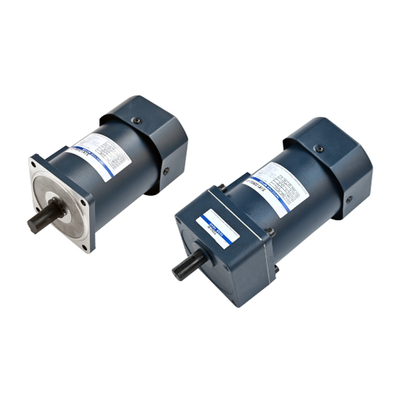 Induction and damping motor (120w, 140w)